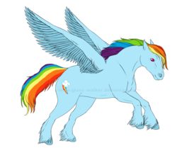 Size: 900x779 | Tagged: safe, artist:glass-walker, rainbow dash, g4, realistic, unshorn fetlocks