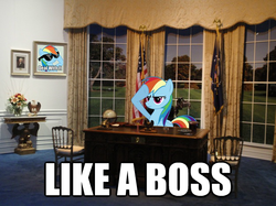 Size: 625x468 | Tagged: safe, artist:the average brony, rainbow dash, pony, g4, crossing the memes, deal with it, exploitable meme, image macro, irl, like a boss, memeception, oval office, photo, ponies in real life, president, president dash, sunglasses, vector