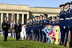 Size: 1920x1280 | Tagged: safe, apple bloom, fluttershy, rainbow dash, human, pony, g4, army, irl, military, military uniform, officer, photo, ponies in real life, rainbow dash salutes, salute, soldier