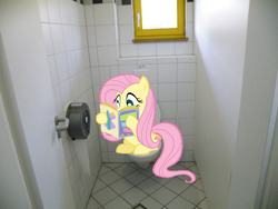 Size: 640x480 | Tagged: safe, fluttershy, pony, g4, but why, irl, magazine, photo, ponies in real life, reading, sitting on toilet, toilet