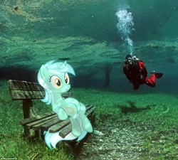 Size: 500x450 | Tagged: safe, lyra heartstrings, human, pony, g4, bench, flood, irl, meme, photo, ponies in real life, sitting, sitting lyra, underwater, vector