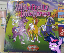 Size: 1100x917 | Tagged: safe, twilight sparkle, g4, book, insanity, irl