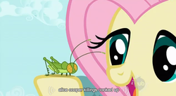 Size: 634x348 | Tagged: safe, screencap, fluttershy, cricket (insect), insect, pegasus, pony, g4, youtube caption