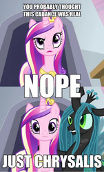 Size: 399x660 | Tagged: safe, queen chrysalis, changeling, g4, caption, chuck testa, disguise, disguised changeling, fake cadance, greatest internet moments
