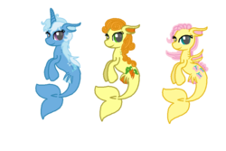 Size: 896x600 | Tagged: safe, artist:starryoak, carrot top, fluttershy, golden harvest, trixie, merpony, g4, simple background, species swap, transparent background