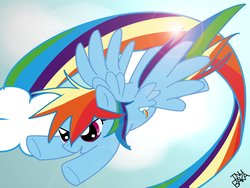 Size: 1600x1200 | Tagged: safe, artist:sniffy-baka, rainbow dash, g4, wallpaper