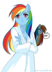 Size: 500x690 | Tagged: safe, artist:chch, rainbow dash, anthro, g4, ambiguous facial structure, askdrrnmsd, my little sister can't be this cute, parody