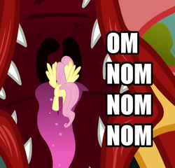 Size: 562x540 | Tagged: safe, basil, fluttershy, dragon, g4, image macro, imminent vore, maw