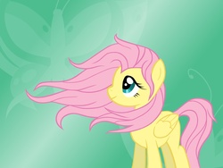 Size: 2592x1944 | Tagged: safe, artist:miesmauz, fluttershy, pony, g4, female, solo, windswept mane