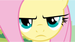 Size: 11520x6480 | Tagged: safe, artist:lazypixel, edit, edited screencap, screencap, fluttershy, pegasus, pony, g4, putting your hoof down, season 2, absurd resolution, fluttershy is not amused, frown, furious, serious, serious face, seriously, unamused, vector