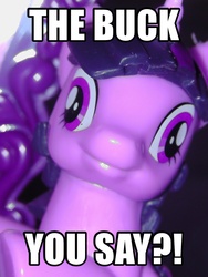 Size: 972x1296 | Tagged: safe, twilight sparkle, g4, image macro, photo