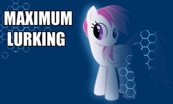 Size: 1000x600 | Tagged: safe, rainbow dash, g4, image macro, invisibility, lurking