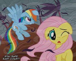 Size: 1500x1200 | Tagged: safe, artist:sketchyjackie, fluttershy, rainbow dash, g4, hurricane sandy