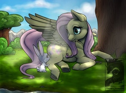 Size: 1200x886 | Tagged: safe, artist:chubby-kirin, angel bunny, fluttershy, pegasus, pony, rabbit, g4, animal, cloud, female, grass, looking at each other, mare, prone, shade, sku, tree, underhoof, water, wings