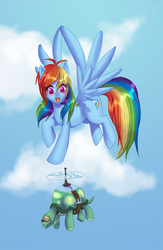 Size: 1143x1750 | Tagged: safe, artist:misswish, rainbow dash, tank, g4, cloud, duo, flying, pet