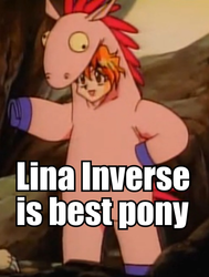 Size: 516x682 | Tagged: safe, barely pony related, best pony, clothes, costume, image macro, lina inverse, pony costume, slayers