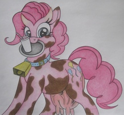 Size: 1105x1024 | Tagged: safe, artist:spectrum-sparkle, pinkie pie, cow, g4, :t, bell, bell collar, collar, cowbell, cowified, drink, horns, looking at you, milk, mouth hold, pincow pie, plate, puffy cheeks, smiling, solo, species swap, straw, transformation, udder, vein, veiny udder