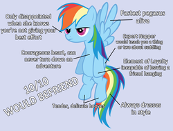 Size: 3758x2861 | Tagged: source needed, useless source url, safe, rainbow dash, pegasus, pony, g4, 10/10, analysis, best pony, female, gray background, grumpy, grumpy dash, mare, meme, rainbow dash always dresses in style, simple background, solo, text