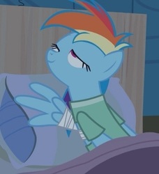 Size: 348x381 | Tagged: safe, screencap, rainbow dash, pegasus, pony, read it and weep, bandage, bandaged wing, cropped, female, mare, out of context, solo