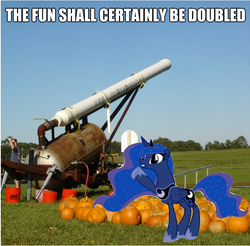 Size: 601x591 | Tagged: safe, artist:pinkiepizzles, princess luna, pony, g4, image macro, irl, photo, ponies in real life, pumpkin, pumpkin cannon, punkin chunkin