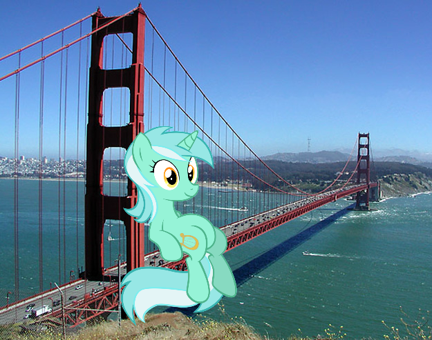 golden gate pony