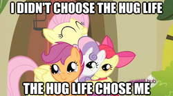 Size: 625x351 | Tagged: safe, edit, edited screencap, screencap, apple bloom, fluttershy, scootaloo, sweetie belle, earth pony, pegasus, pony, unicorn, g4, cutie mark crusaders, eyes closed, female, filly, hug, image macro, mare, meme