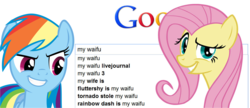 Size: 1950x839 | Tagged: safe, fluttershy, rainbow dash, pegasus, pony, g4, autocomplete, google, google search, meta, searching, text, waifu