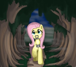 Size: 1926x1720 | Tagged: safe, artist:otakuap, fluttershy, pony, g4, everfree forest, female, lantern, mouth hold, solo