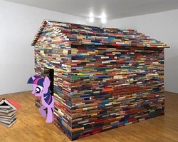 Size: 500x397 | Tagged: safe, twilight sparkle, pony, g4, book, book fort, irl, photo, ponies in real life, vector