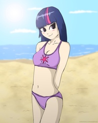 Size: 800x1000 | Tagged: safe, artist:mixermike622, twilight sparkle, human, g4, beach, belly button, bikini, clothes, humanized, solo, swimsuit