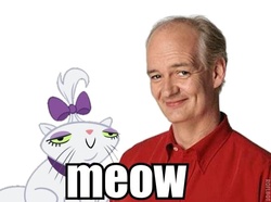 Size: 600x447 | Tagged: safe, opalescence, g4, colin mochrie, image macro, meow, whose line is it anyway