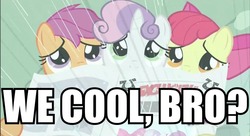 Size: 856x466 | Tagged: safe, edit, edited screencap, screencap, apple bloom, scootaloo, sweetie belle, g4, ponyville confidential, cutie mark crusaders, image macro, newspaper, rain, reaction image