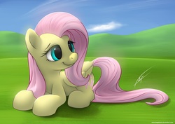 Size: 1920x1357 | Tagged: safe, artist:bioniclegahlok, fluttershy, pony, g4, cute, female, happy, hill, prone, shyabetes, smiling, solo