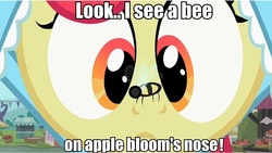 Size: 960x543 | Tagged: safe, apple bloom, bee, g4, care bears, image macro, reference