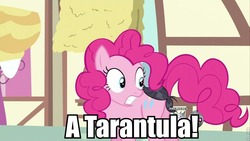Size: 960x540 | Tagged: safe, edit, edited screencap, screencap, pinkie pie, a friend in deed, g4, cropped, hub logo, image macro, the three stooges, toupee