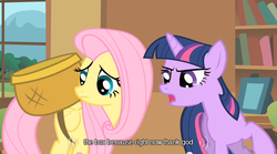 Size: 640x355 | Tagged: safe, screencap, fluttershy, twilight sparkle, a bird in the hoof, g4, god, youtube caption
