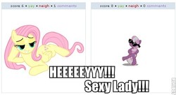 Size: 525x285 | Tagged: safe, cheerilee, fluttershy, derpibooru, g4, cheerishy, exploitable meme, female, gangnam style, image macro, juxtaposition, juxtaposition win, lesbian, shipping