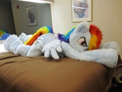 Size: 800x600 | Tagged: safe, artist:spainfischer, rainbow dash, pegasus, pony, g4, 2011, bed, bedroom, fursuit, irl, lying down, photo, ponysuit, smiling, smirk, tail, wings