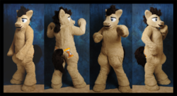 Size: 900x489 | Tagged: safe, doctor whooves, time turner, g4, fursuit, irl, photo