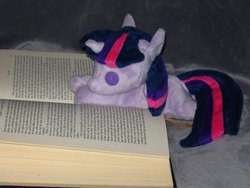 Size: 2592x1944 | Tagged: safe, artist:whiteheather, twilight sparkle, pony, g4, beanie (plushie), book, grimm's complete fairy tales, irl, photo, plushie, solo