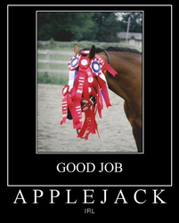 Size: 437x544 | Tagged: safe, applejack, horse, g4, demotivational poster, irl, meme, ribbon