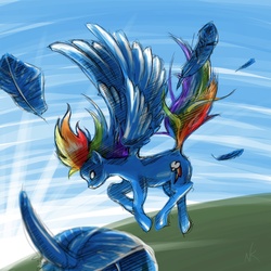 Size: 1600x1600 | Tagged: safe, artist:cow41087, rainbow dash, g4, feather, flying