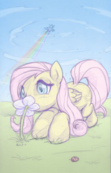 Size: 577x900 | Tagged: safe, artist:cow41087, fluttershy, rainbow dash, ladybug, g4, flower, flying