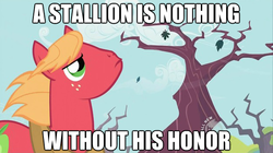 Size: 625x351 | Tagged: safe, big macintosh, earth pony, pony, g4, image macro, male, stallion