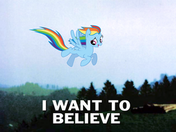 Size: 1024x768 | Tagged: safe, rainbow dash, pony, g4, caption, i want to believe, image macro, irl, photo, ponies in real life, the x files, vector