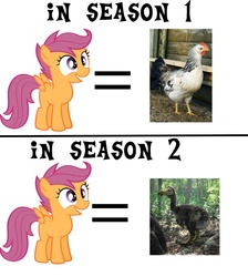 Size: 1790x2000 | Tagged: safe, scootaloo, bird, chicken, dodo, pegasus, pony, g4, comparison, female, filly, meme, meta, scootachicken, scootadodo, scootaloo can't fly