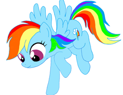 Size: 1092x843 | Tagged: safe, artist:mlpdrawingcruisaders, rainbow dash, g4, simple background, vector, white background