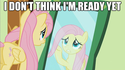 Size: 625x351 | Tagged: safe, edit, edited screencap, screencap, fluttershy, a bird in the hoof, g4, image macro, mane