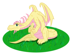 Size: 1300x1000 | Tagged: safe, artist:raugos, fluttershy, dragon, g4, dragonified, flutterdragon, species swap