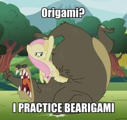 Size: 441x415 | Tagged: safe, edit, edited screencap, screencap, fluttershy, harry, bear, g4, lesson zero, cropped, duo, image macro, origami, out of character